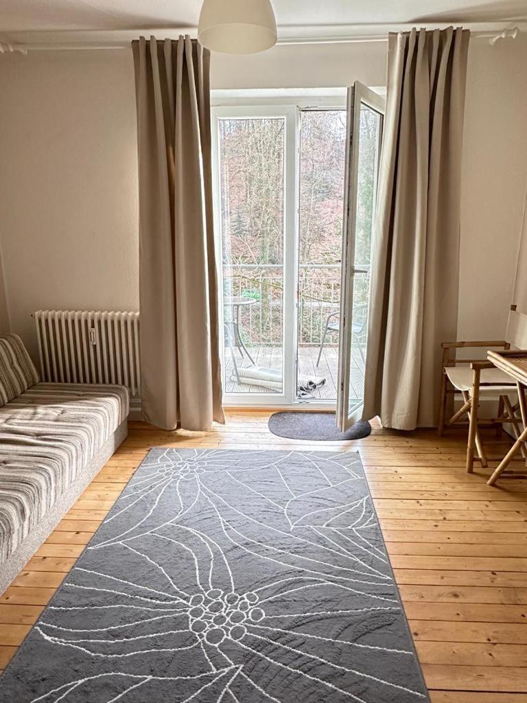 Apartment Stadt- Naturnah, Traumblick Und Balkon