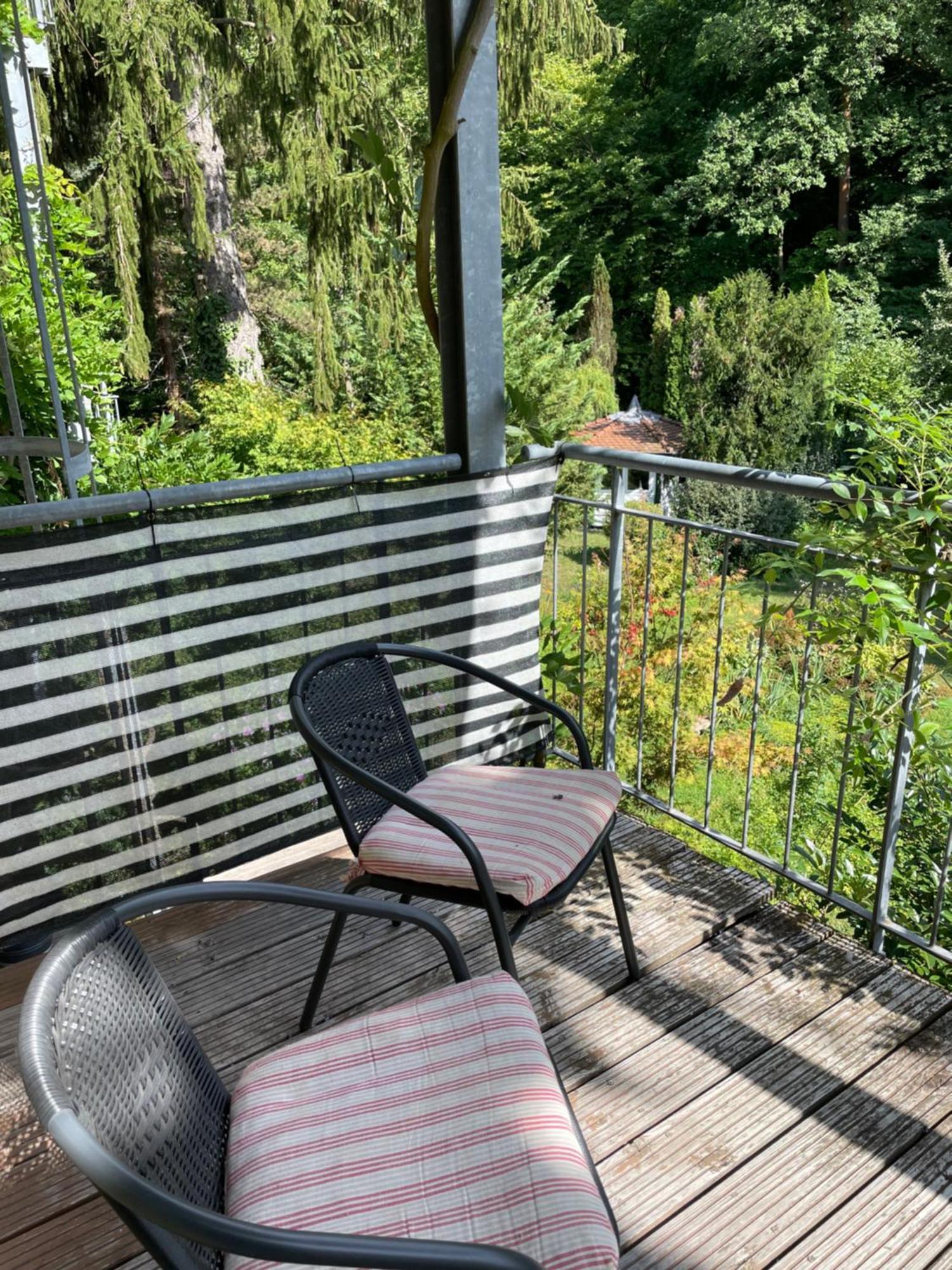 Apartment Stadt- Naturnah, Traumblick Und Balkon Baden-Baden